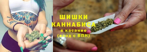 spice Краснослободск
