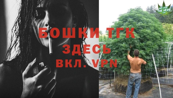 крисы Беломорск