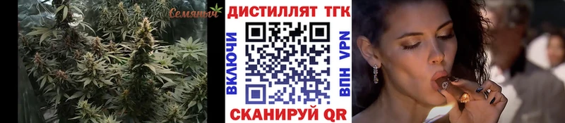 ТГК концентрат  Онега 